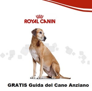 GRATIS Guida del Cane Anziano