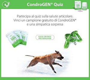 Campioni Omaggio per cani Condrogen