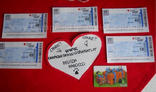 Sondaggi Retribuiti Online Melissa