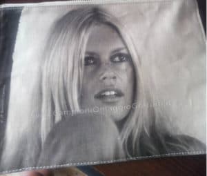 Pochette Brigitte Bardot Vinta al Concorso Phyto
