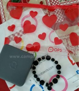 Premio-Ricevuto-Concorso-OPS-Boule-Chic