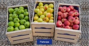 Kids-Garden-vinci-un-kit-di-prodotti-per-il-giardinaggio