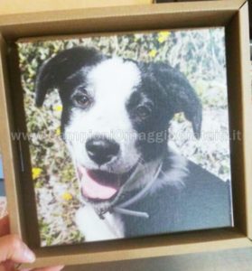 cornice-Tonky-vinta-e-ricevuta