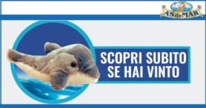 vinci-uno-dei-250-delfini-peluche-con-asdomar