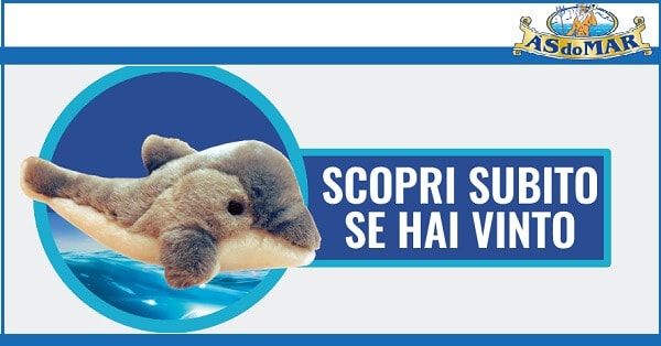 vinci-uno-dei-250-delfini-peluche-con-asdomar