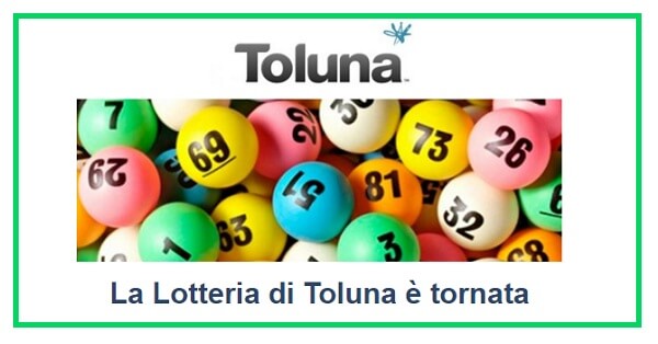Vinci-fino-a-2.000-euro-con-Toluna