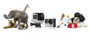 Vinci-gratis-GoPro-viaggio-o-buono