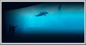 Vinci-subito-2-biglietti-per-lAcquario-di-Genova Vinci-subito-2-biglietti-per-lAcquario-di-Genova