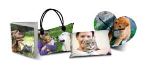 World-Animal-Day-2016-vinci-uno-dei-uno-dei-92-voucher-da-100€
