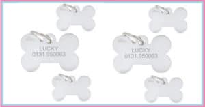 Ricevi-gratis-una-medaglietta-per-il-tuo-cucciolo-o-per-il-tuo-gattino