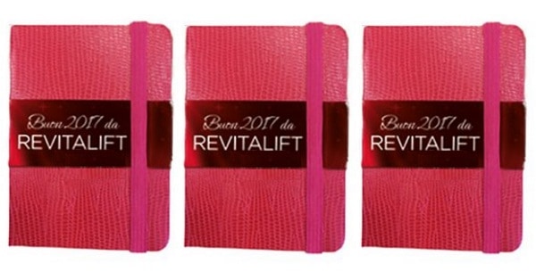 Agendina-2017-in-pelle-in-regalo