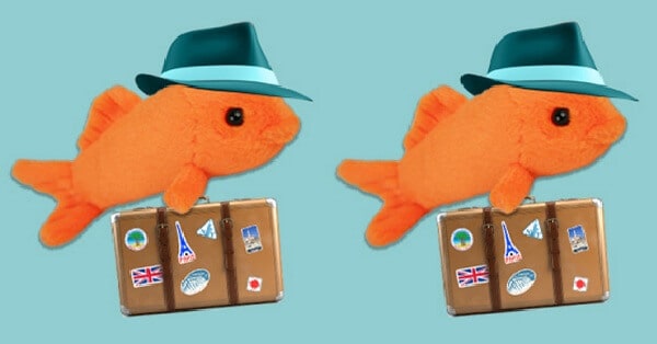 Ricevi-gratis-il-peluche-Mobi