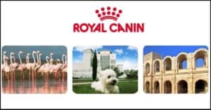 Concorso-a-premi-Royal-Canin Concorso-Royal-Canin