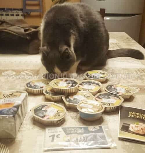 Prodotti-Sheba-ricevuti