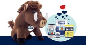 Concorso Brioschi Tutti pazzi per Ernesto