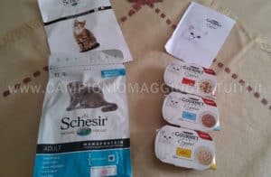 campioni-omaggio-Schesir