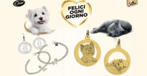 Concorso Cesar Sheba Vinci ogni giorno 2018