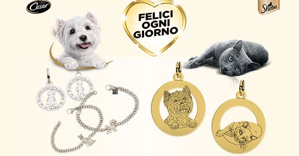 Concorso Cesar Sheba Vinci ogni giorno 2018