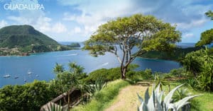 Concorso Vinciunsogno Vinci gratis viaggio in Guadalupa