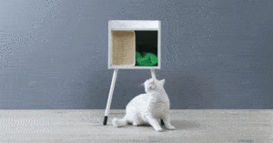 Concorso instant win la Festa del gatto 2018