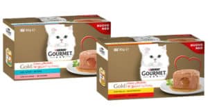 Concorso La sorpresa viene dal cuore