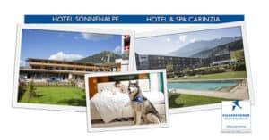 Concorso Vinci con Belle & Sebastien - Amici per sempre