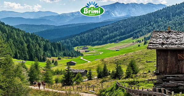 Concorso Vinci con Brimi 2018