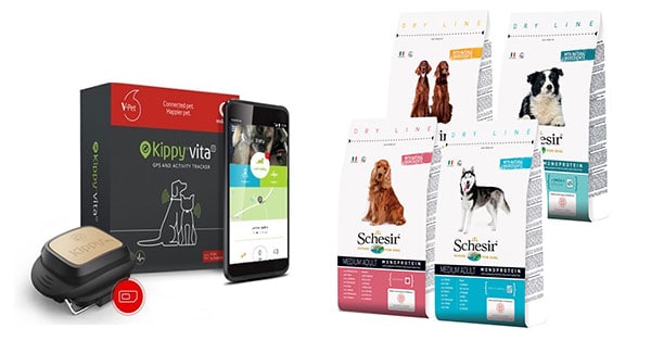 Concorso Vodafone Dog Academy