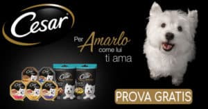 diventa tester cesar diventa tester cesar con The Insiders