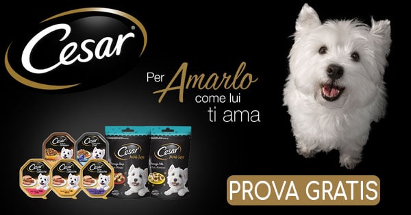 diventa tester cesar con The Insiders