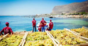 Concorso Vivi la Wine Experience con Firriato a Favignana