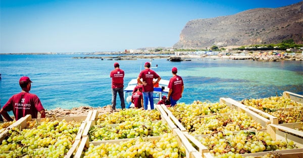 Concorso Vivi la Wine Experience con Firriato a Favignana