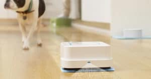 Concorso Ace in famiglia con amore