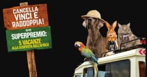 concorso Isola dei Tesori