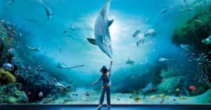 Biglietto Acquario di Genova omaggio