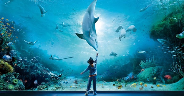 Biglietto Acquario di Genova omaggio