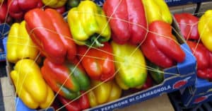 Concorso Re Peperone con La Stampa