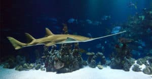 Concorso GalataGalattico