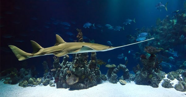 Concorso GalataGalattico