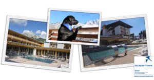 Concorso Vinci con Dog Days