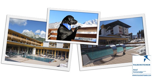 Concorso Vinci con Dog Days