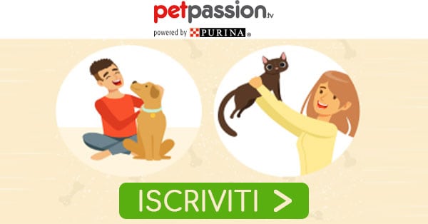 Purina Petpassion