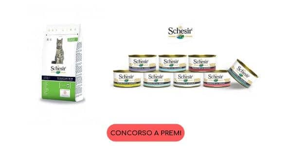 concorso vinci un mare di schesir