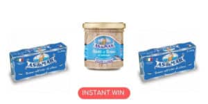 concorso asdomar trova nettuno