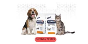 diventa tester weight balance croccantini