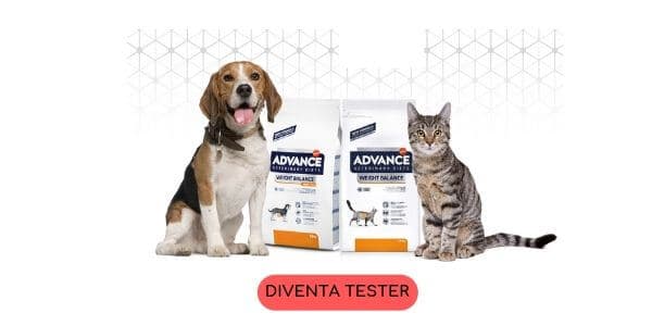 diventa tester weight balance croccantini