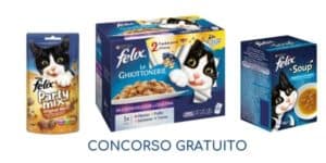 Concorso gratuito Felix