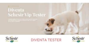 Diventa tester Schesir Vip