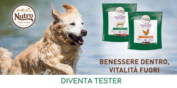 Diventa tester Nutro Grain