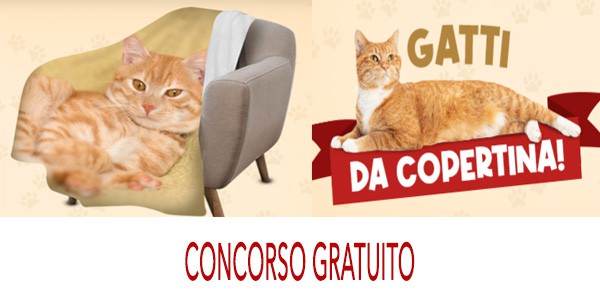 concorso gratuito Petreet Gatti da Copertina